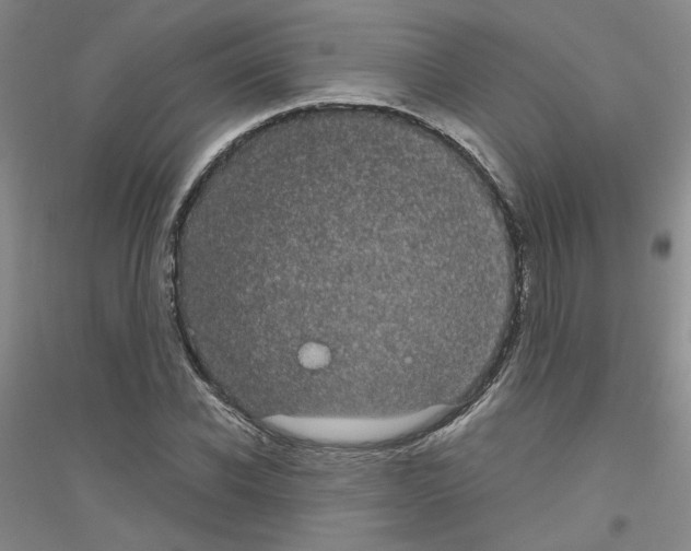 X0000116760926201001281609