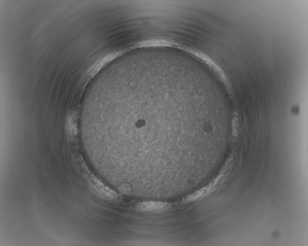 X0000116760929201001281609