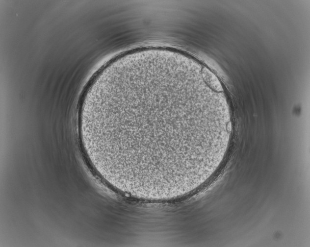 X0000116760934201001281609