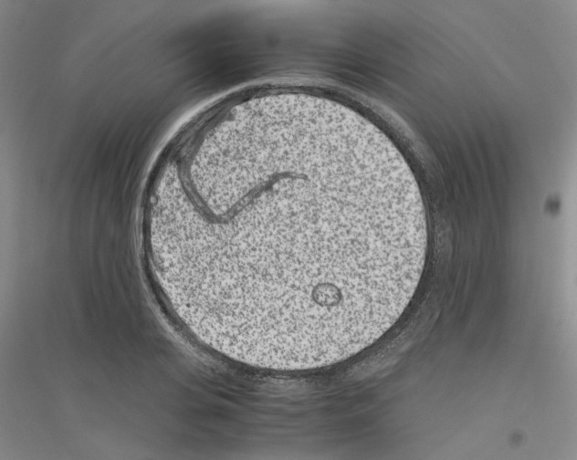 X0000116760935201001281609