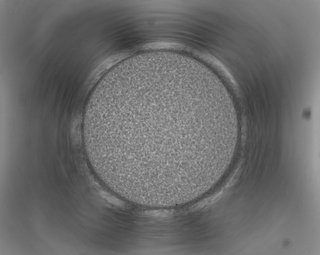 X0000116760937201001281609