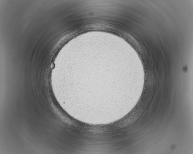 X0000116760938201001281609