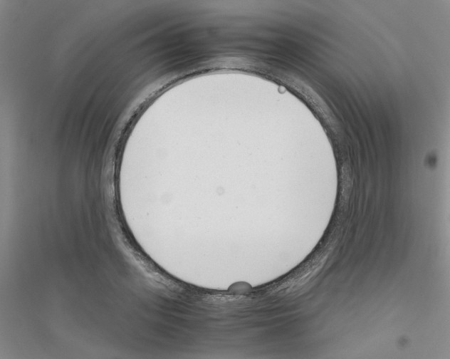 X0000116760939201001281609