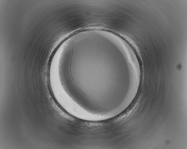 X0000116760941201001281609