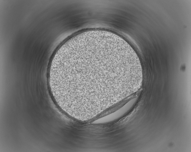 X0000116760943201001281609