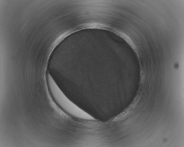 X0000116760946201001281609