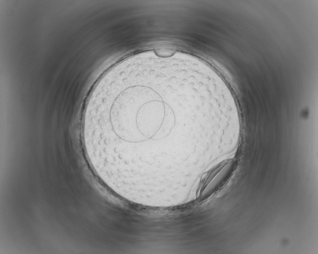 X0000116760949201001281609