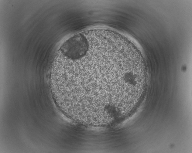 X0000116760953201001281609