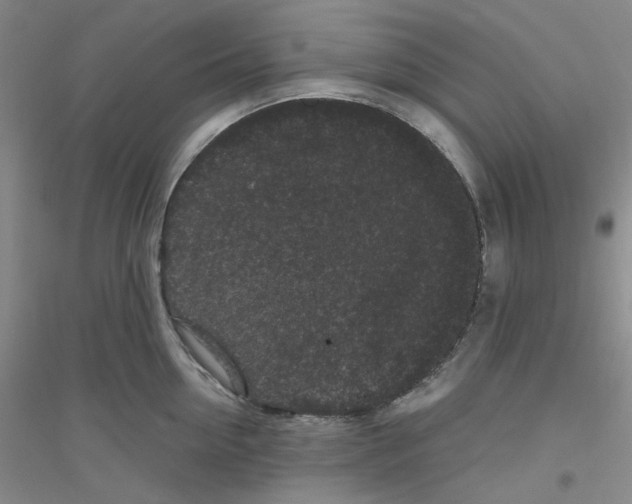 X0000116760954201001281609