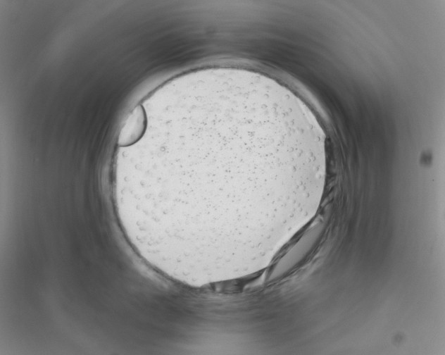 X0000116760959201001281609