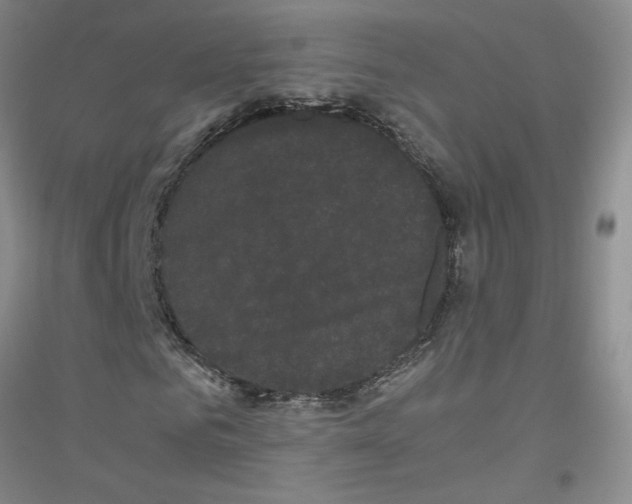 X0000116760961201001281608