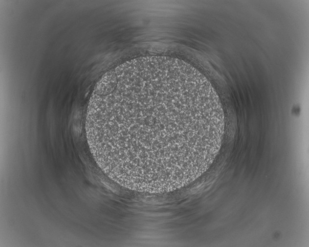 X0000116760962201001281608