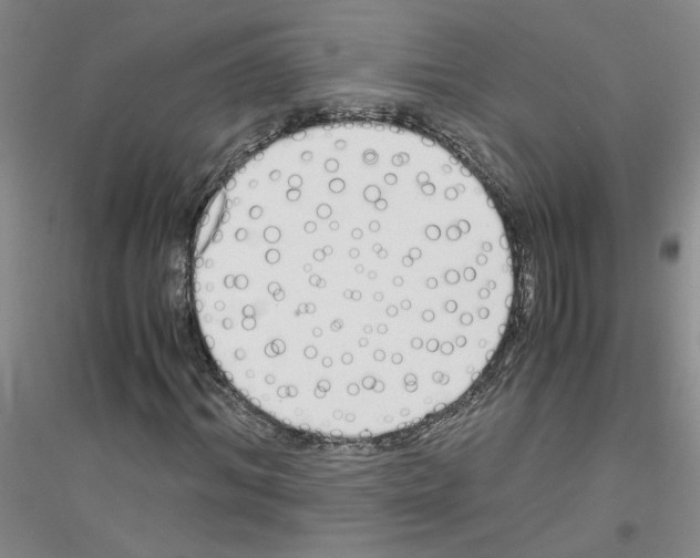 X0000116760964201001281608