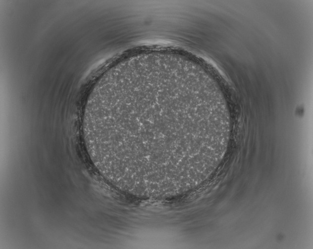 X0000116760967201001281608