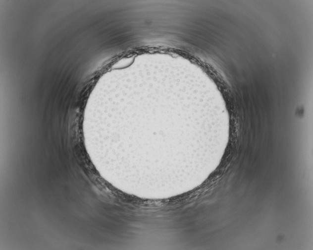 X0000116760968201001281608