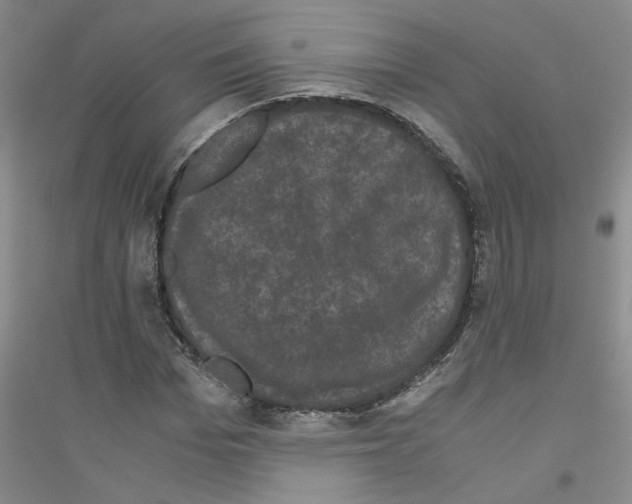 X0000116760969201001281608