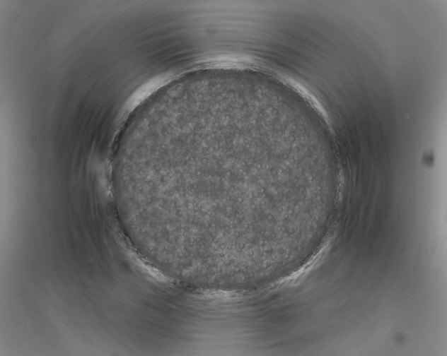 X0000116760970201001281608