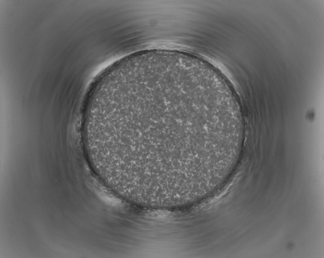 X0000116760971201001281608