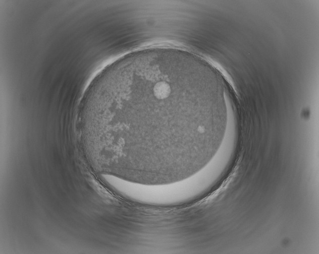 X0000116760973201001281608