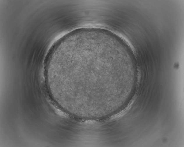 X0000116760974201001281608