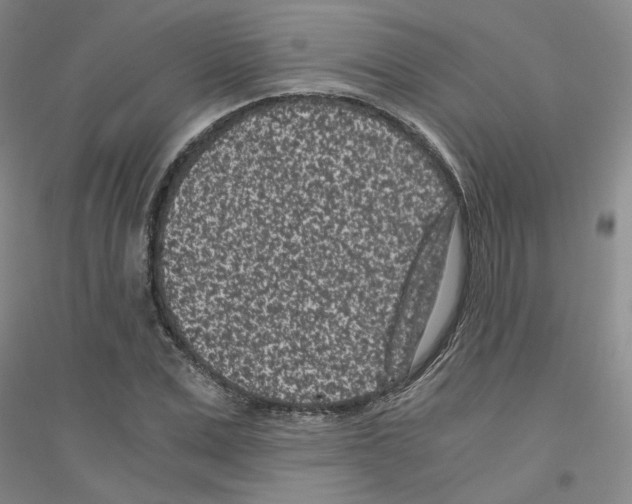 X0000116760975201001281608