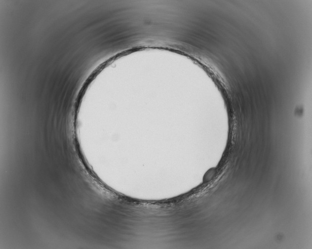 X0000116760976201001281608