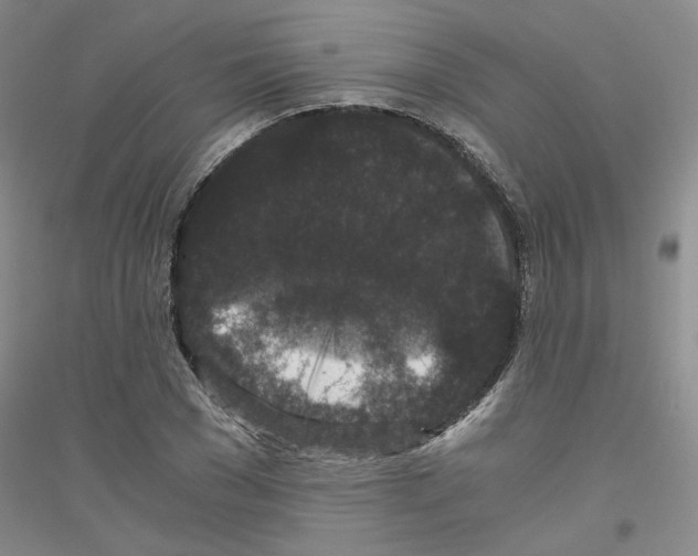 X0000116760977201001281608