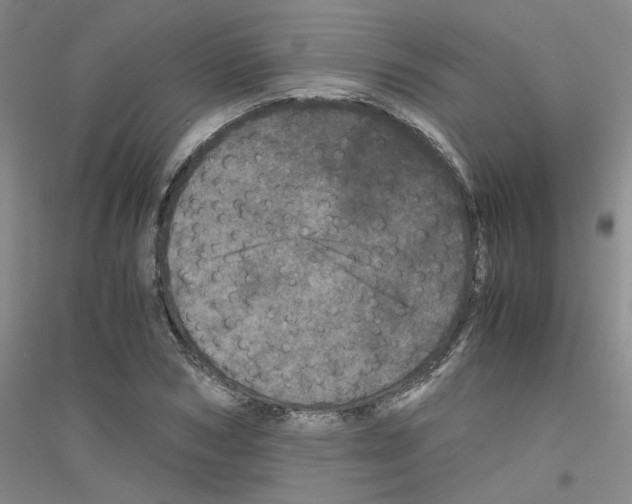 X0000116760978201001281608