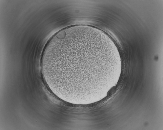 X0000116760980201001281608