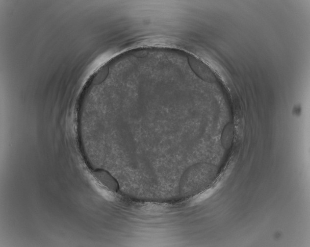 X0000116760981201001281608