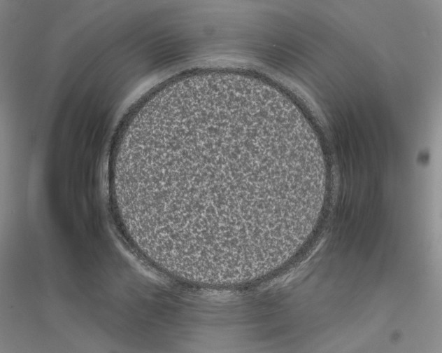 X0000116760982201001281608