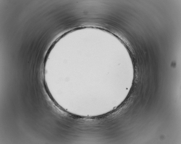 X0000116760984201001281608