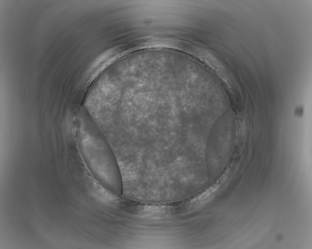 X0000116760985201001281608