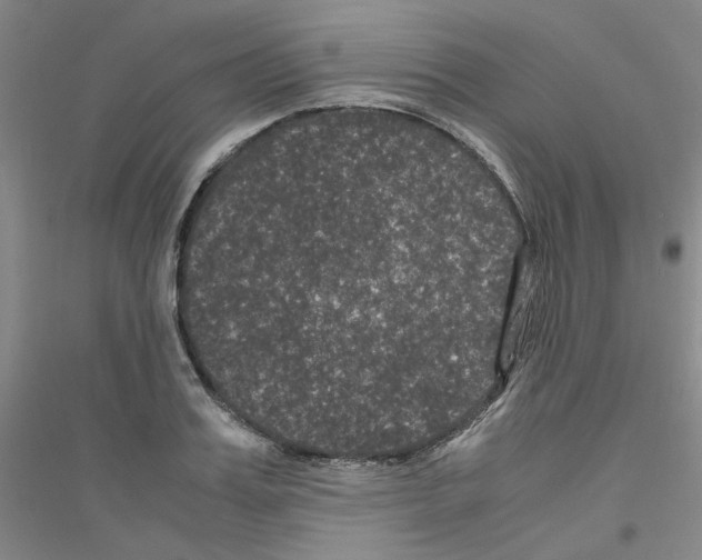 X0000116760987201001281608