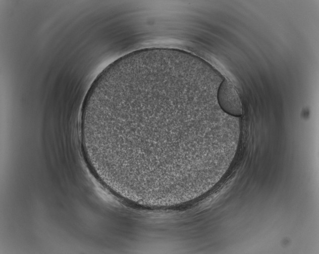 X0000116760988201001281608