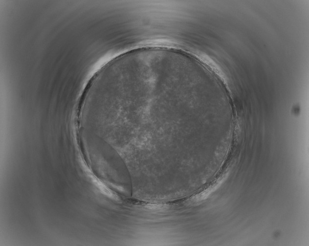 X0000116760989201001281608