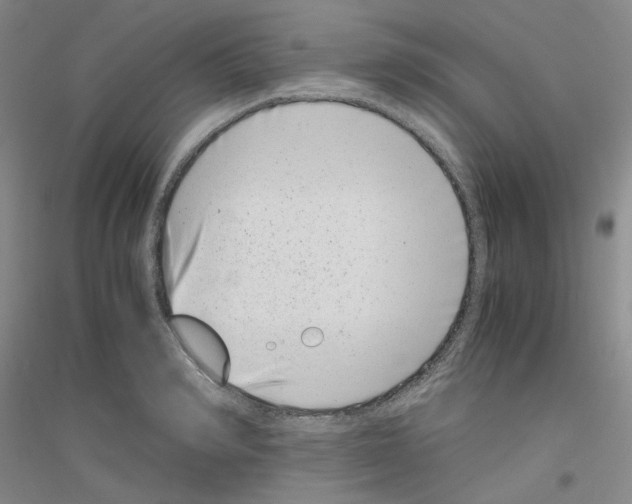 X0000116760990201001281608