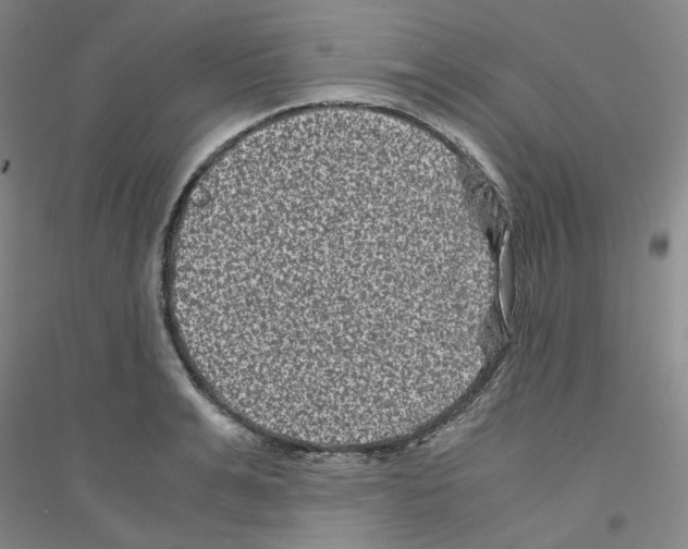 X0000116760991201001281608