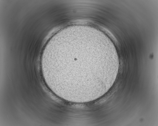 X0000116760994201001281608