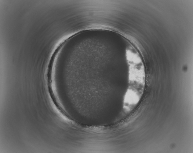 X0000116760995201001281608