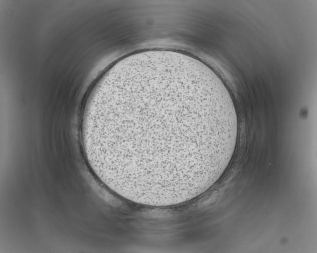 X0000116760998201001281608