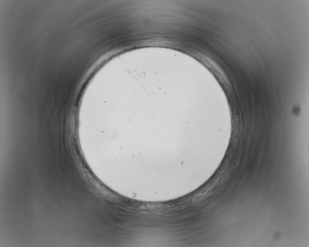 X0000116761000201001281608