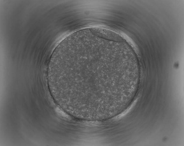 X0000116761001201001281608