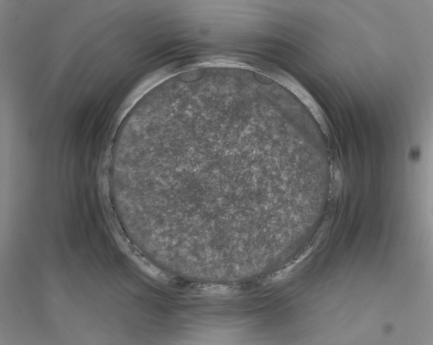 X0000116761002201001281608