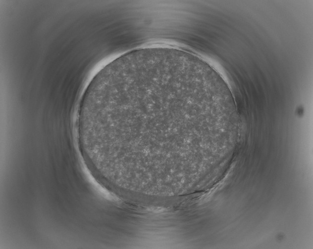 X0000116761003201001281608