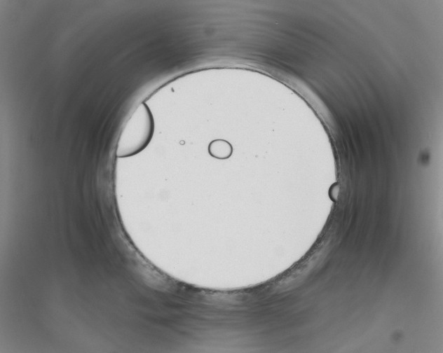 X0000116761004201001281608