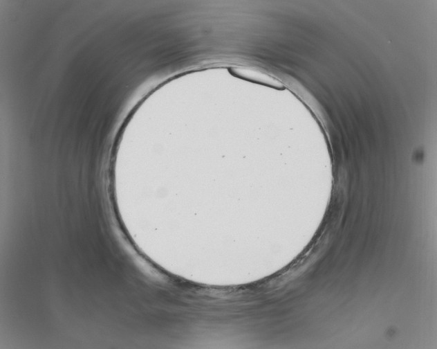 X0000116761005201001281608