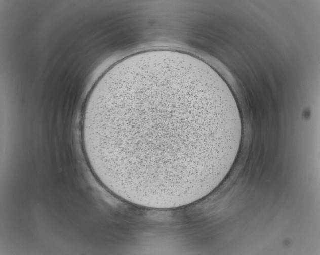 X0000116761006201001281608