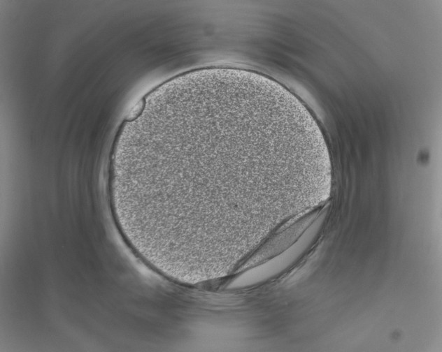 X0000116761007201001281608