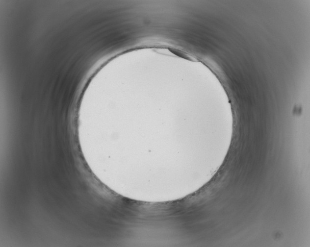 X0000116761008201001281608